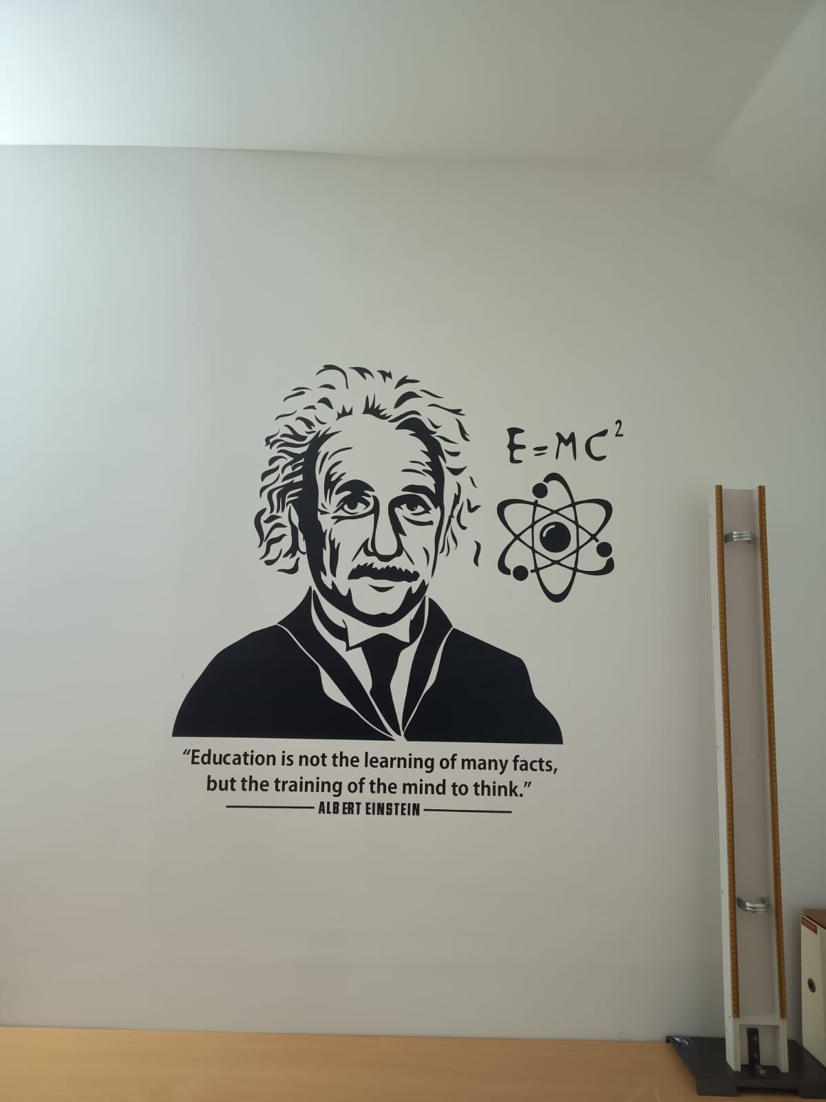 Einstein Educational Wall Graphics